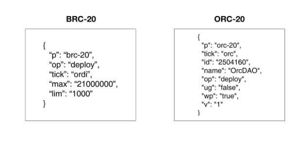 Differences of BRC 20 and ORC 20