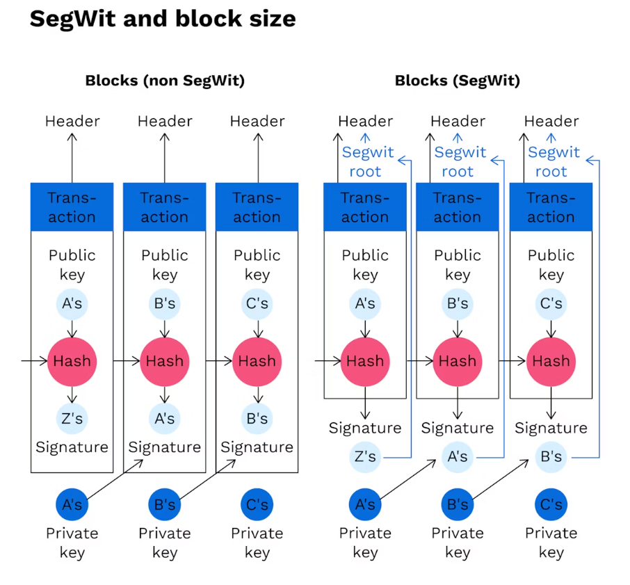 The difference of each Block before and after the SegWit update