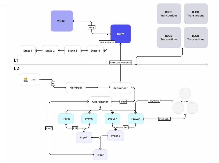 What is ParaX?