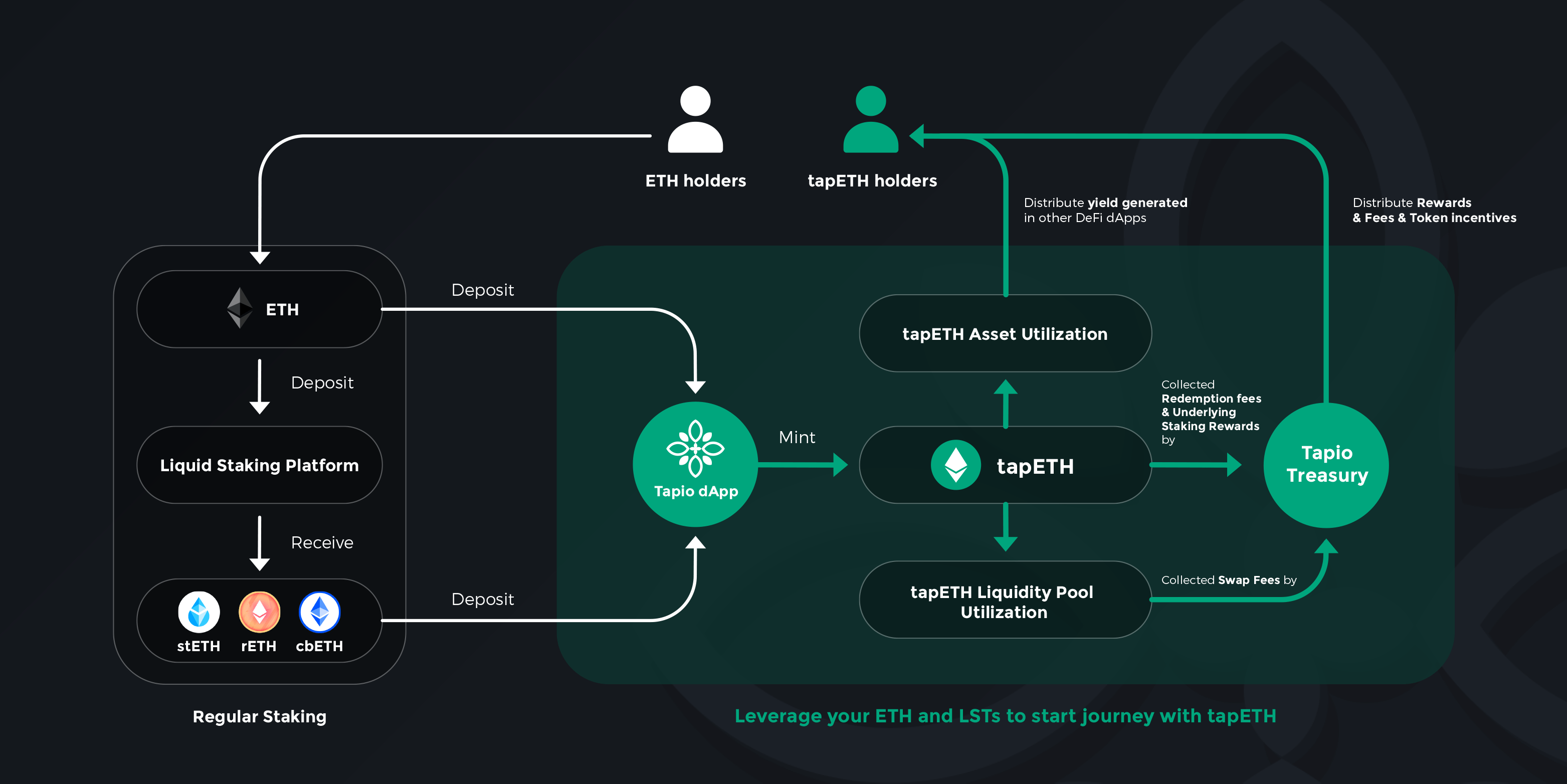 What is Tapio Finance's operating model?