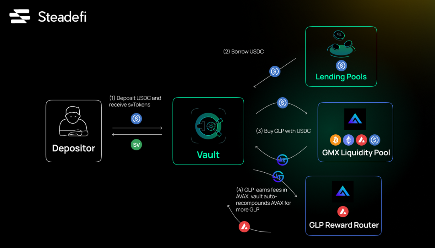 steadyfi strategy vaults