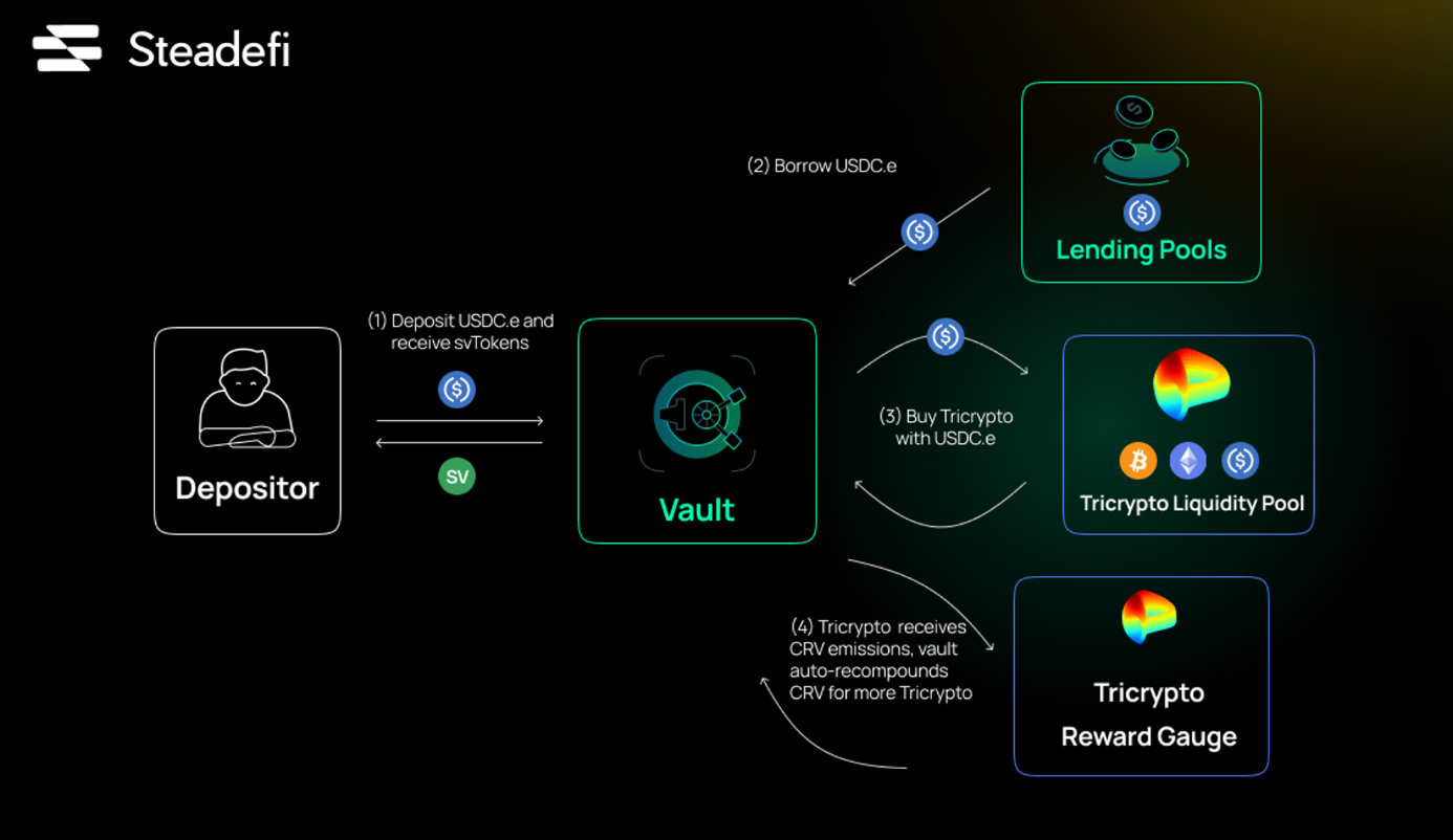 steadyfi strategy vaults 2