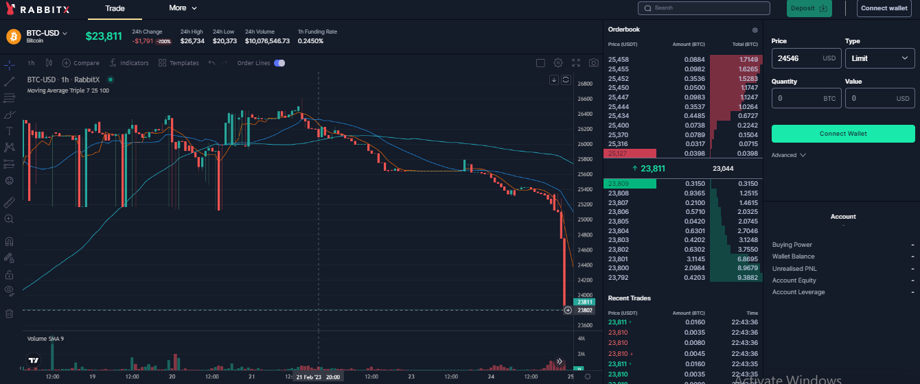 RabbitX interface