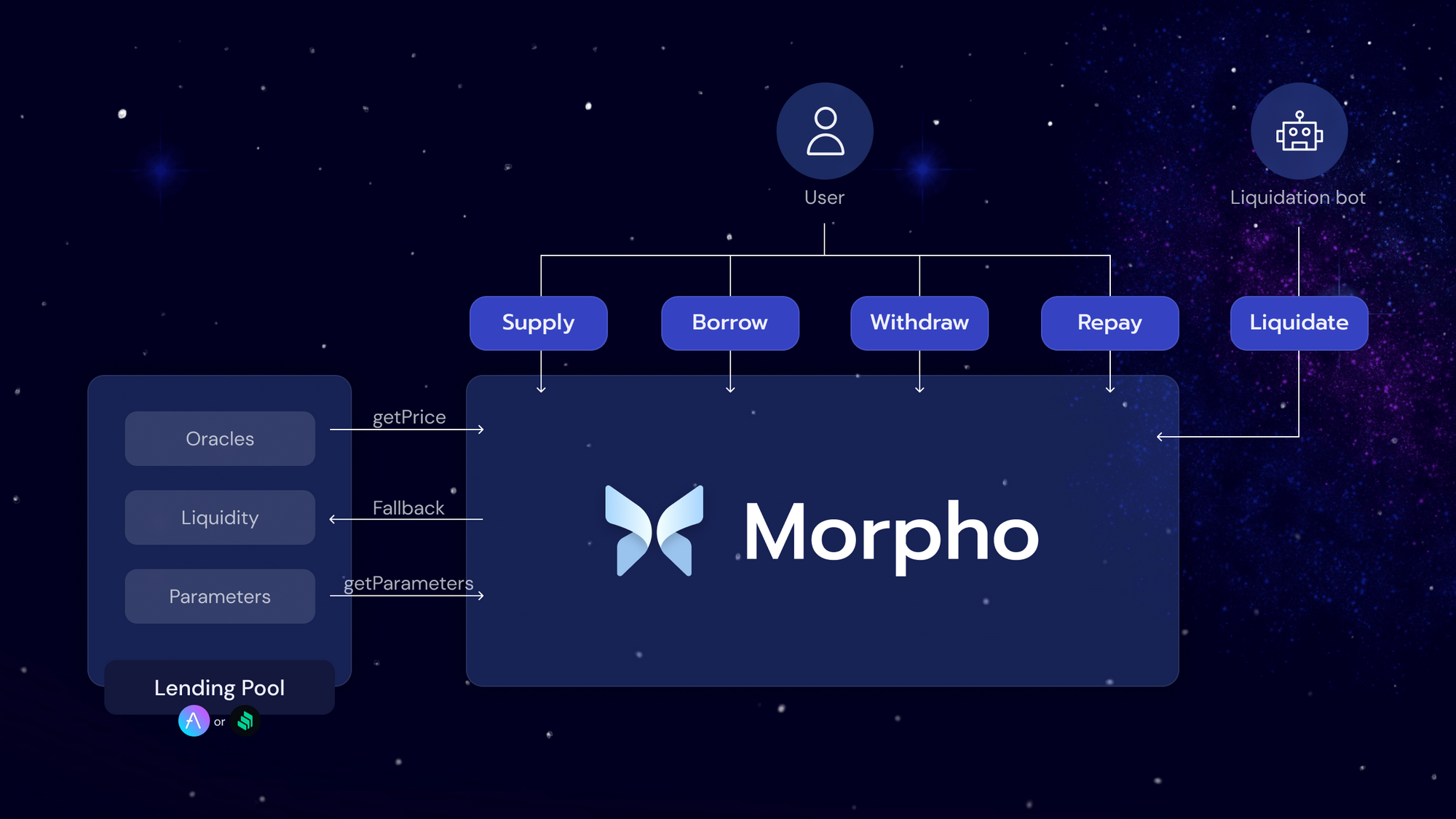 Mechanism of action of morpho