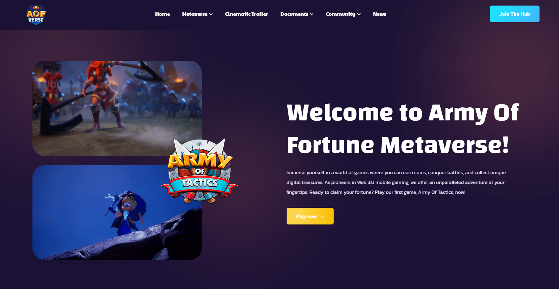 What is Army Of Fortune?