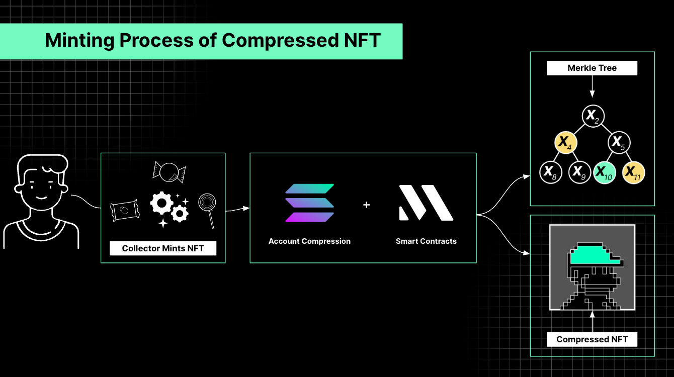 Compressed NFT's mechanism of action