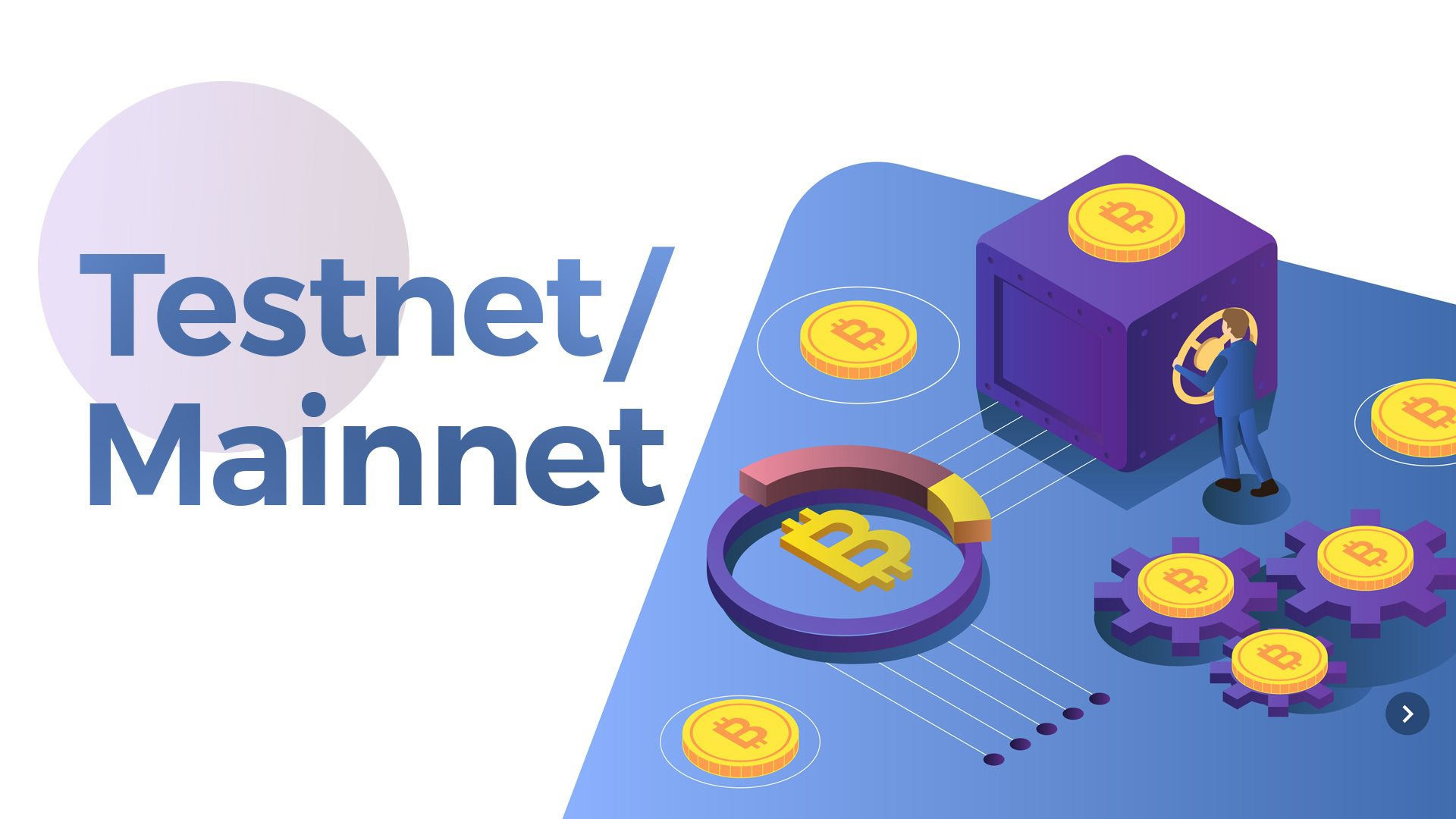 What are Devnet, Testnet & Mainnet